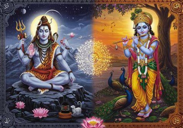 Who won between Shiva and Krishna?
