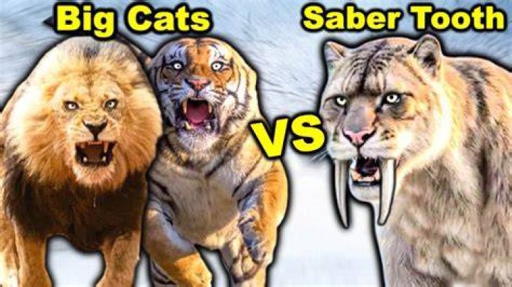 Who would win Sabertooth vs tiger?