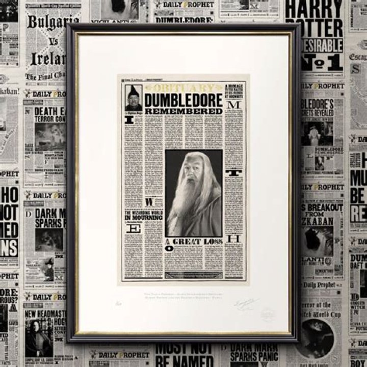 Who wrote Albus Dumbledore's obituary in The Daily Prophet?