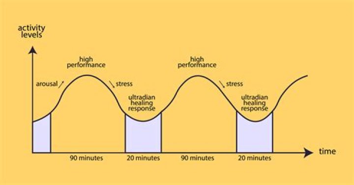 Why 4am is the most productive hour?