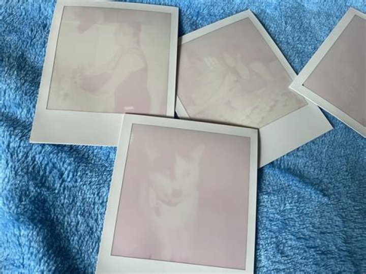 Why are all my Polaroids coming out black?