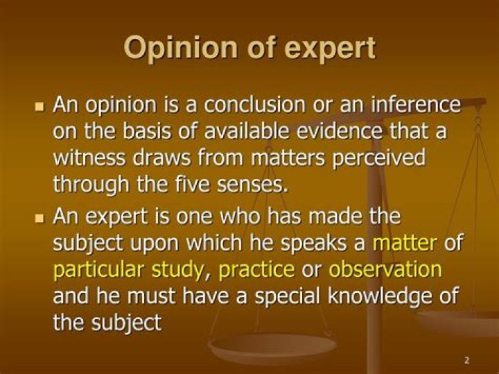 Why are expert opinions important?