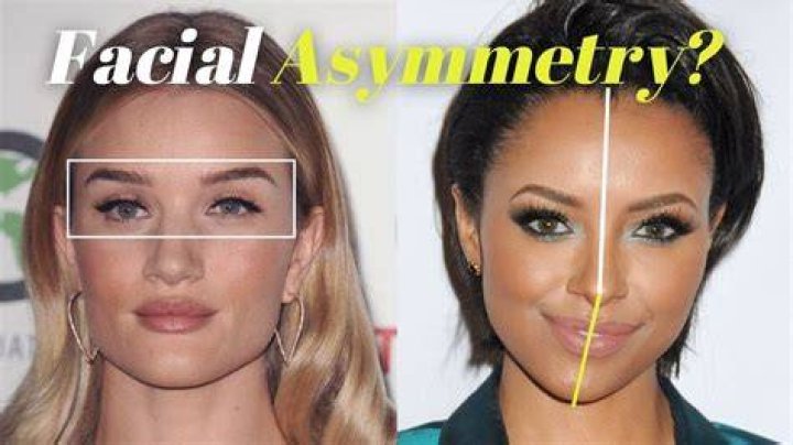 Why are faces not symmetrical?