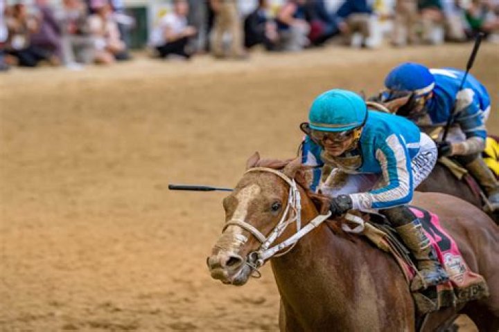 Why are race horses weighted?