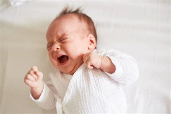 Why do babies stop crying when picked up?