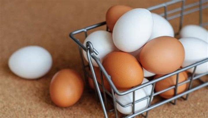 Why do bodybuilders eat eggs?