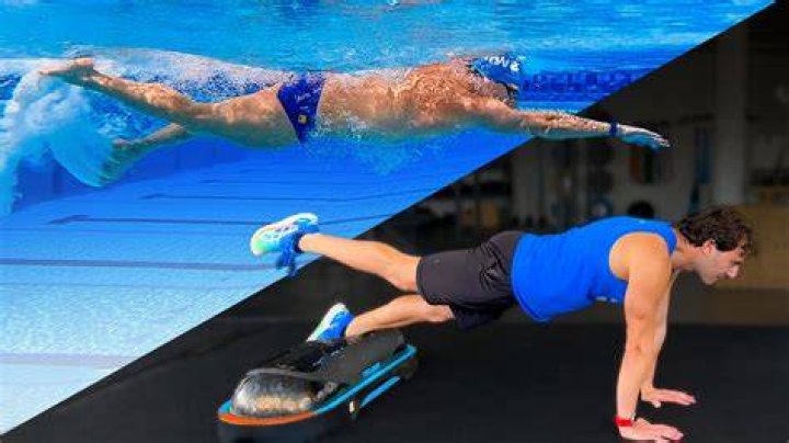 Why do competitive swimmers pee in the pool?
