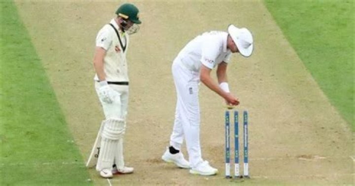 Why do cricket bails cost so much?