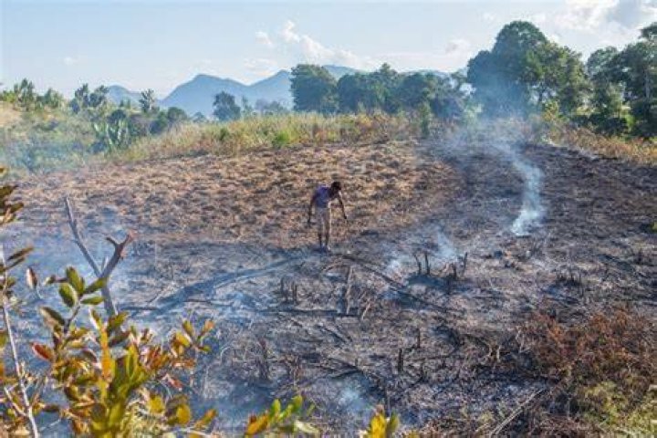 Why do farmers burn canals?
