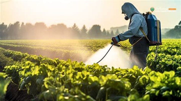 Why do farmers use urea?