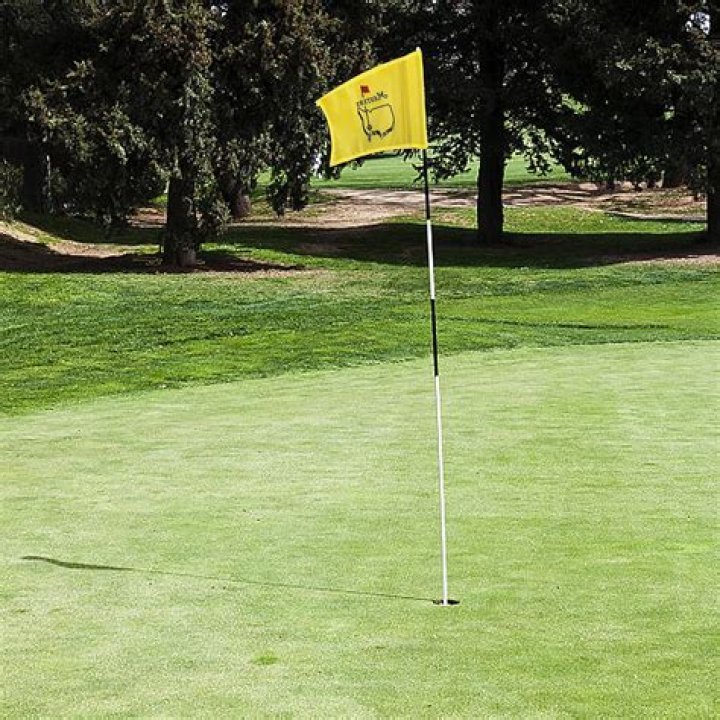 Why do golf pins have 2 flags?