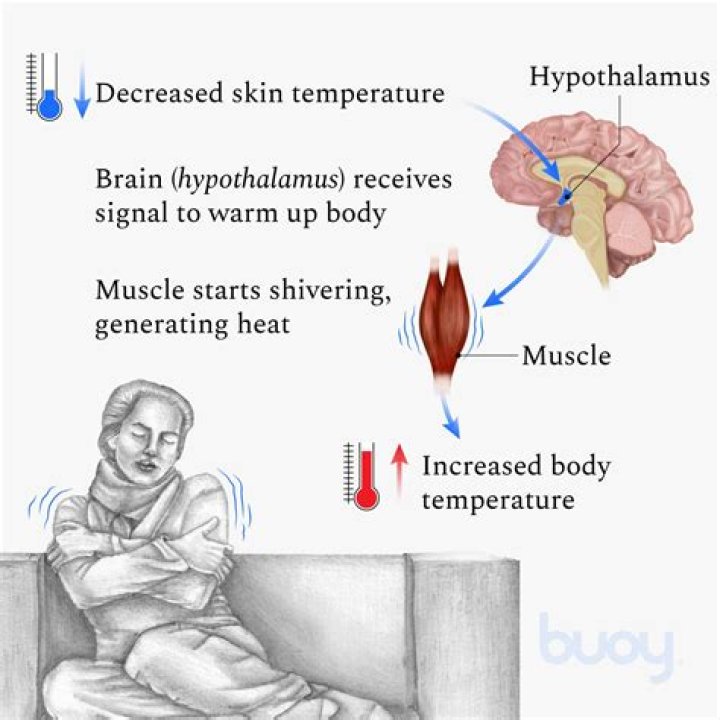 Why do I get chills in the sauna?