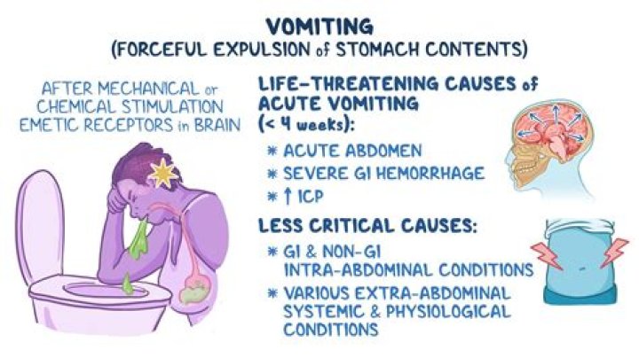 Why do I vomit after too much salt?