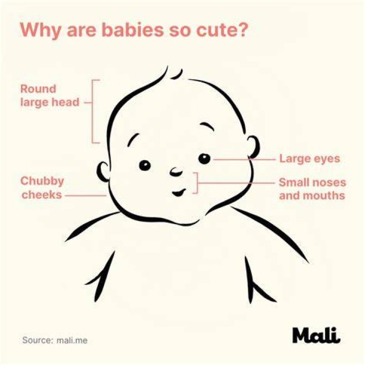 Why do people think their babies are cute?