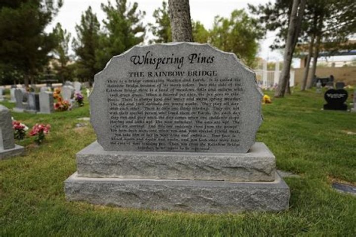 Why do they call Jim Mckay bones?