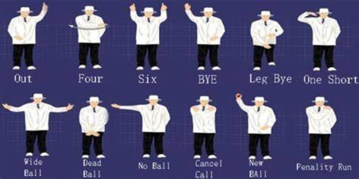 Why do umpires use hand signals?