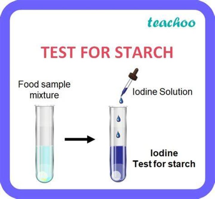 Why do we test for starch and not glucose?