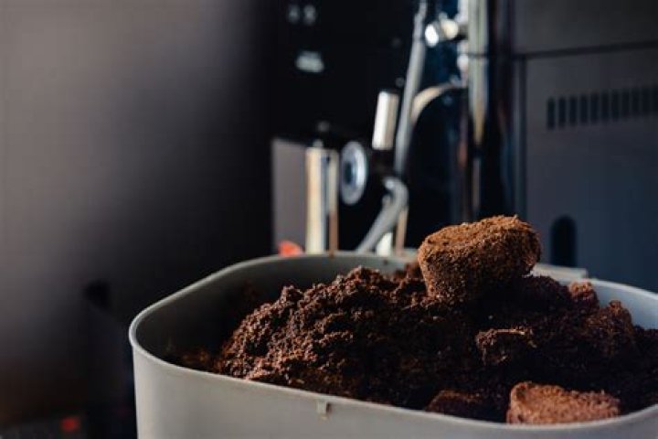 Why do worms like coffee grounds?