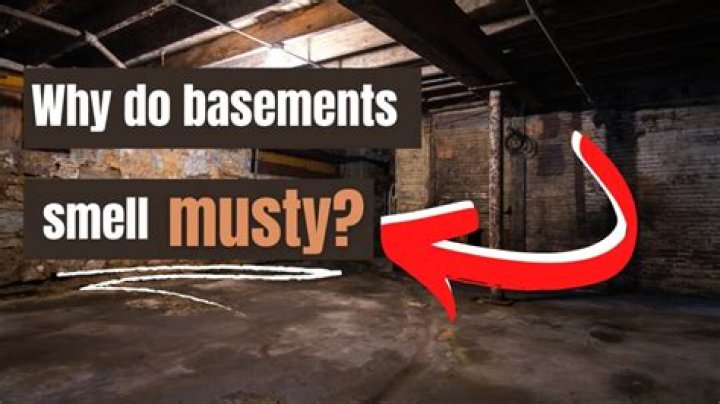 Why does my basement smell?
