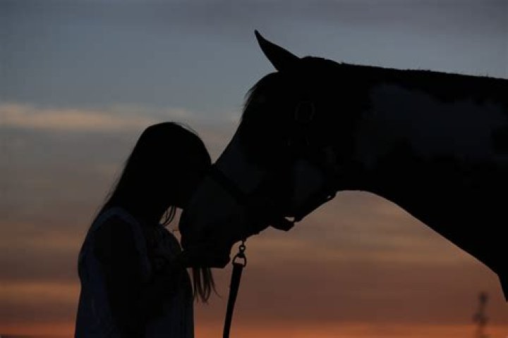 Why does my horse nudge me?