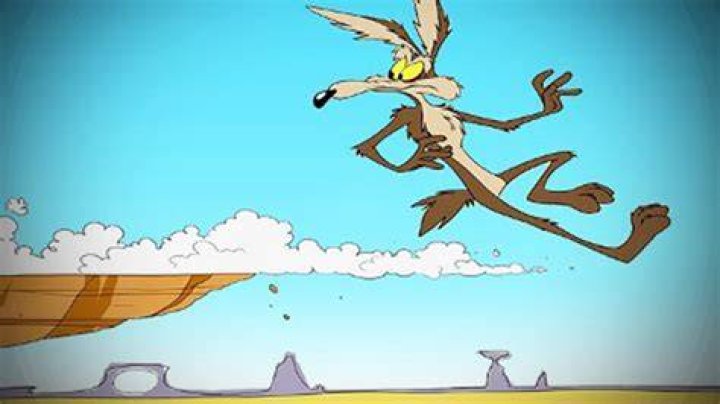 Why does Wile E. Coyote chase the Road Runner?