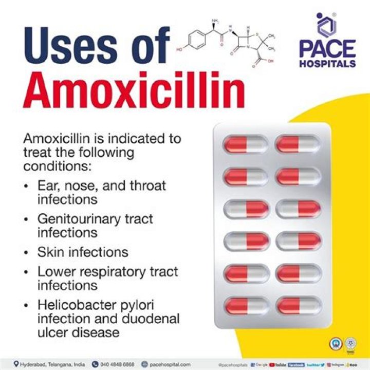 Why is amoxicillin used in dentistry?