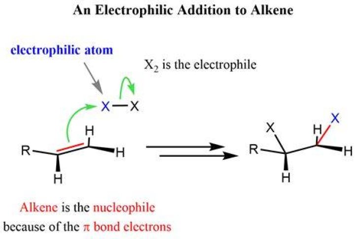 Why is an alkene an electrophile?