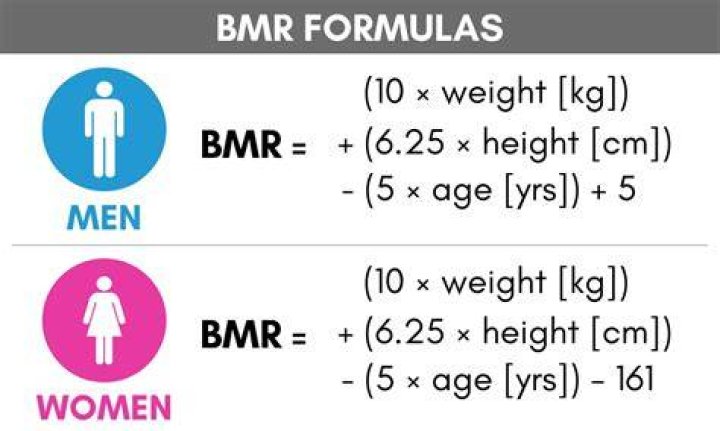 Why is BMR in male higher than female?