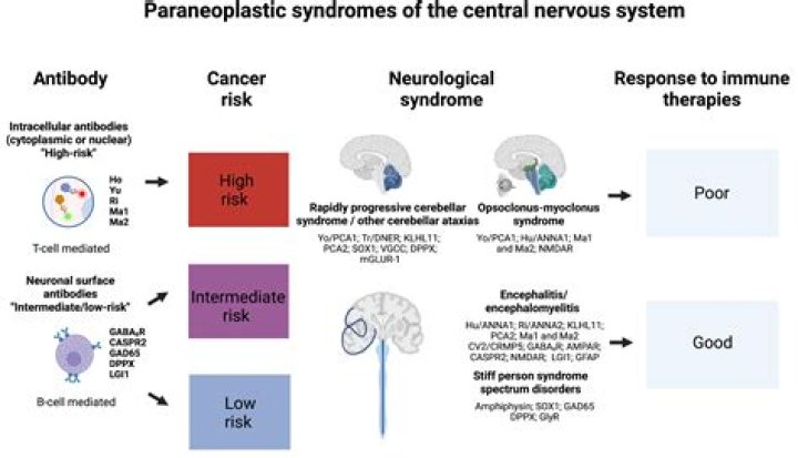 Why is it difficult to treat neurological disorders?