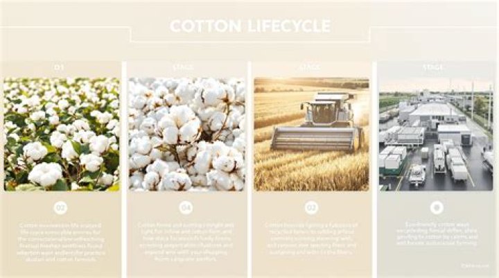Why is it important to soak cotton before sewing?