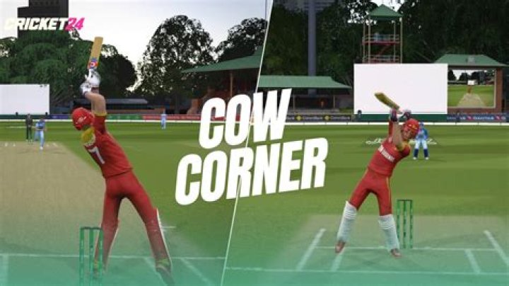 Why is mid wicket called cow corner?