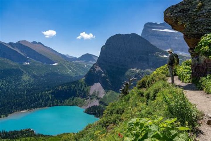 Why is Montana so popular?