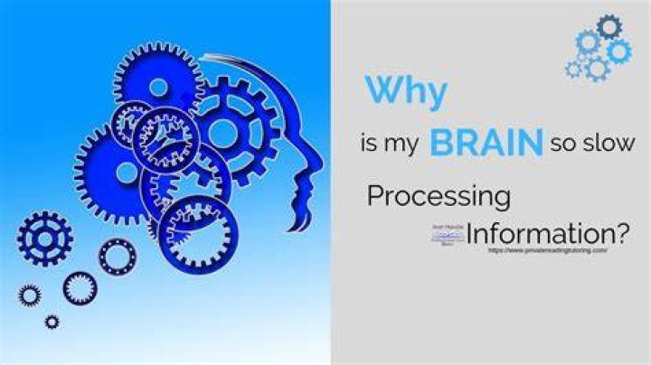 Why is my brain so slow?