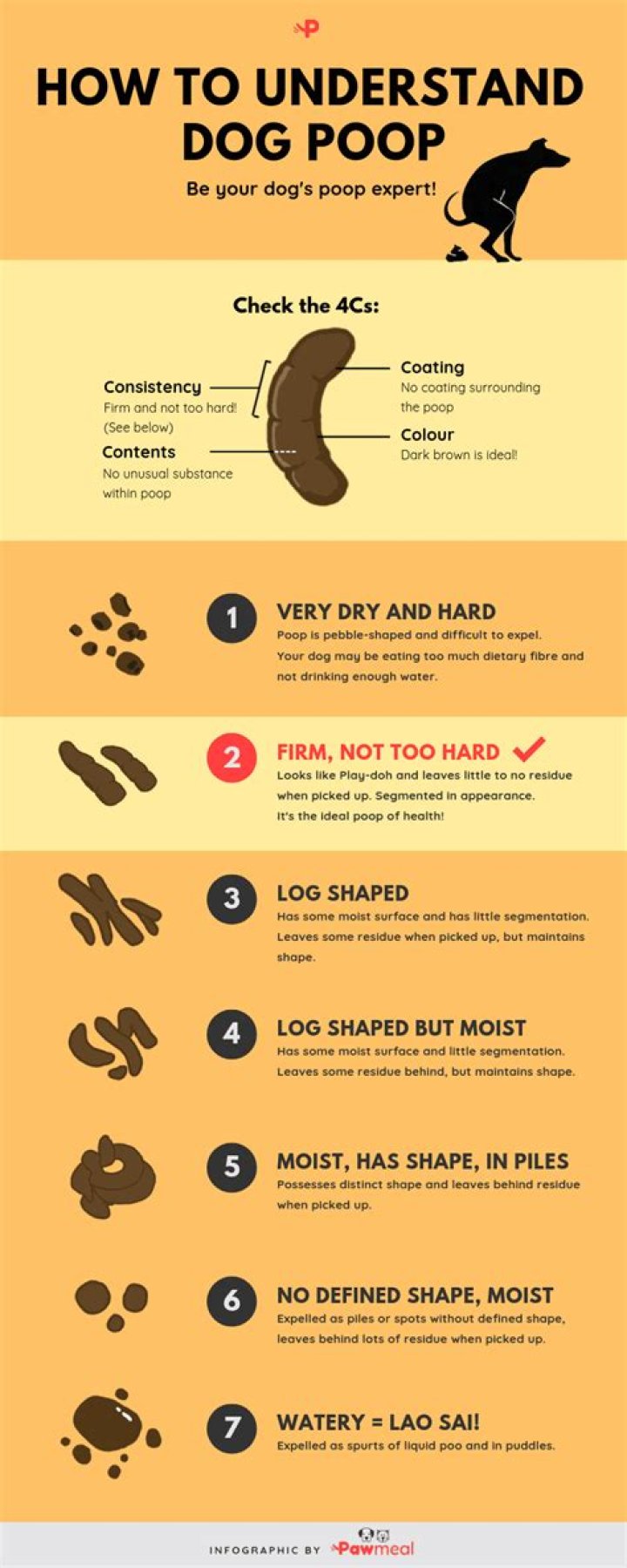 Why is my dogs poo sloppy?