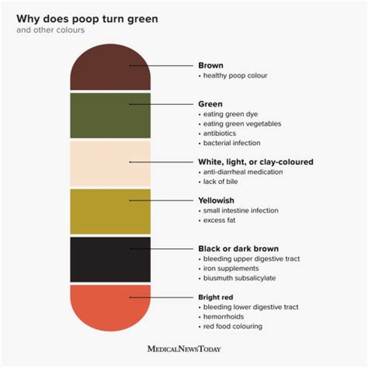 Why is my poop green?