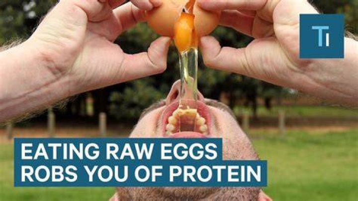 Why should we not eat eggs?