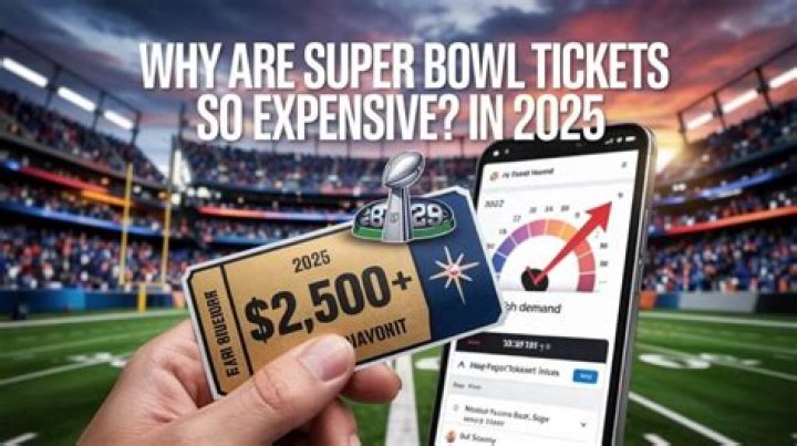 Why Super Bowl tickets are so expensive?