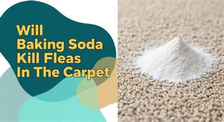 Will baking soda bleach carpet?