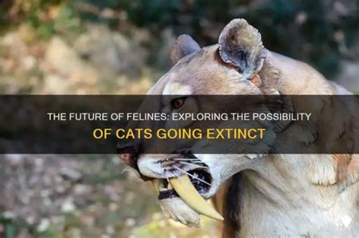 Will cats go extinct?