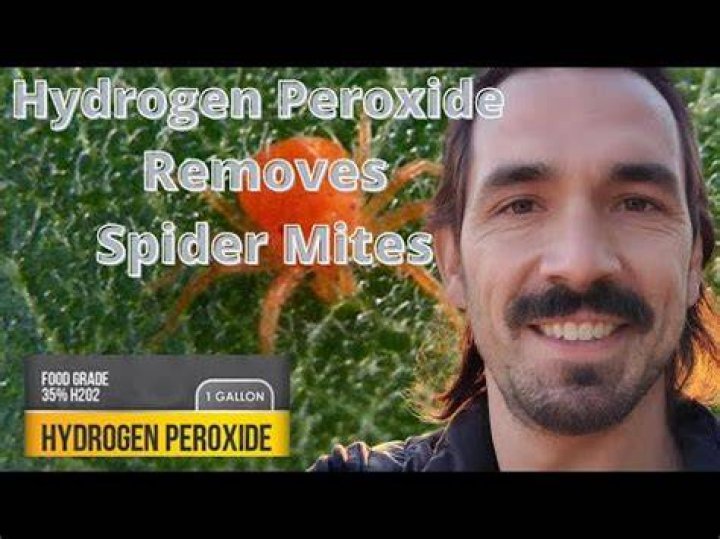 Will diluted hydrogen peroxide hurt plants?