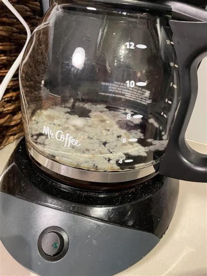 Will moldy coffee make you sick?